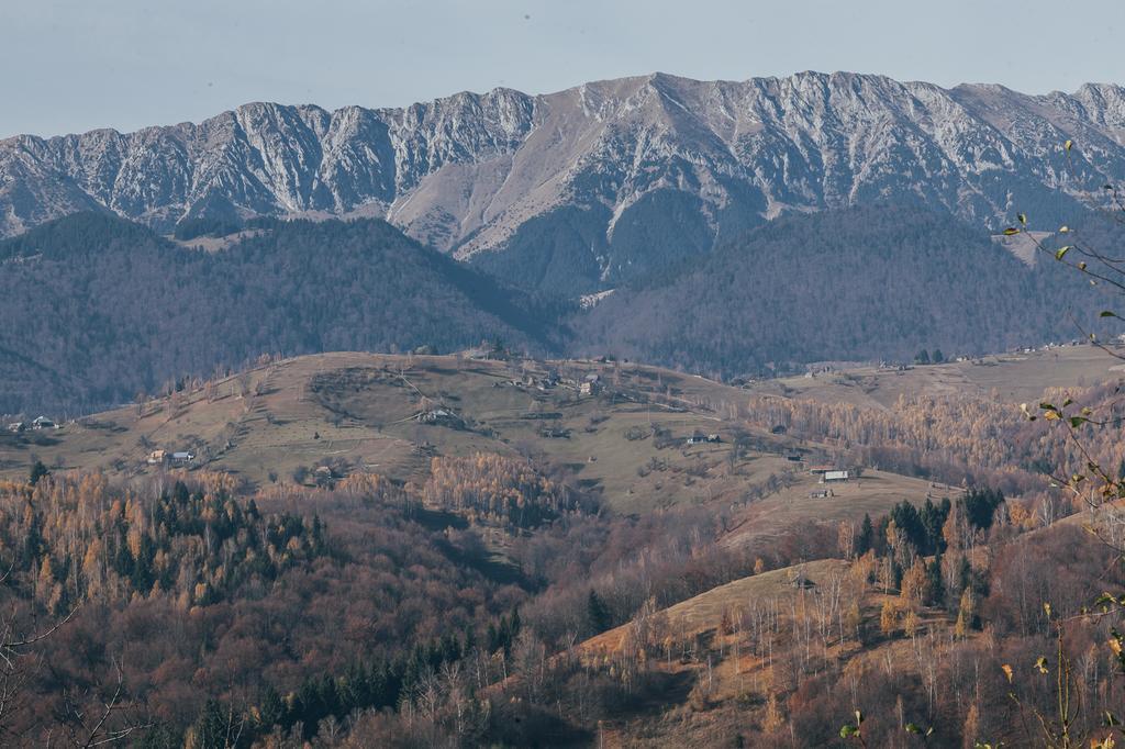 Drumul Carului Villa Moieciu de Jos Quarto foto